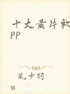 十大黄片软件app