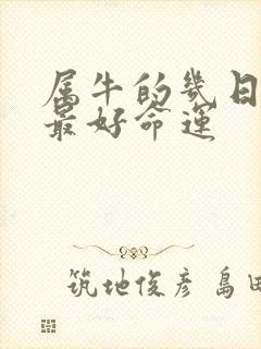 属牛的几日出生最好命运