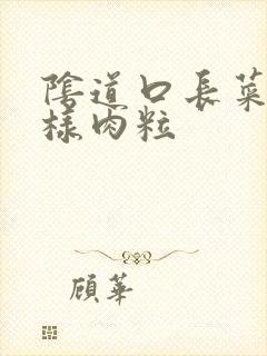 阴道口长菜花一样肉粒