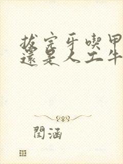 拔完牙吃甲硝唑还是人工牛黄封面