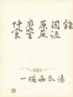 什么原因能引起食管反流