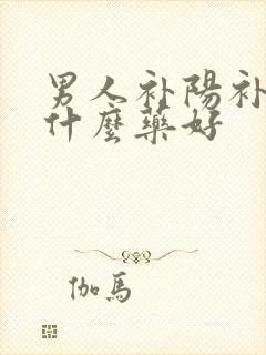 男人补阳补肾吃什么药好