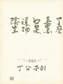 阴道口长了小赘生物是怎么回事封面