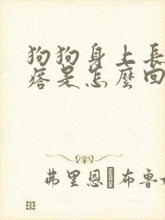 狗狗身上长肉疙瘩是怎么回事