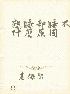 想睡却睡不着是什么原因