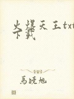 火爆天王txt下载
