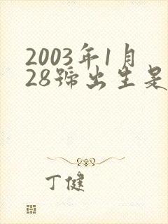2003年1月28号出生是什么命封面
