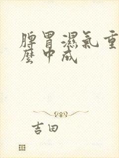 脾胃湿气重吃什么中成