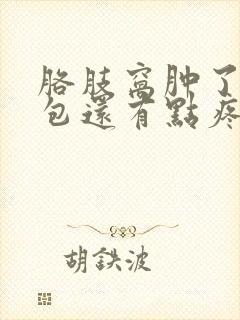 胳肢窝肿了一个包还有点疼封面