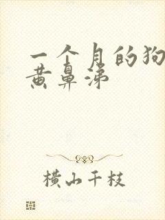 一个月的狗狗流黄鼻涕