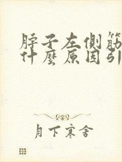 脖子左侧筋疼是什么原因引起的