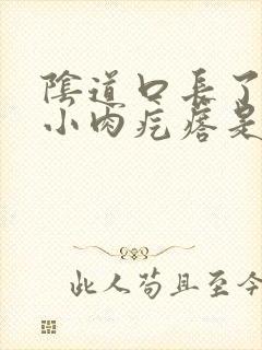 阴道口长了一个小肉疙瘩是怎么回事封面