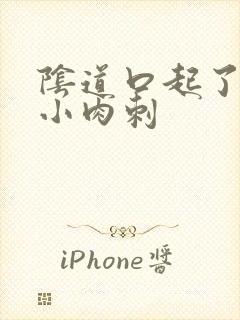 阴道口起了很多小肉刺