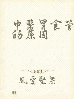 中医胃食管反流的原因