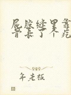 屁股缝里靠近尾骨长了个疙瘩