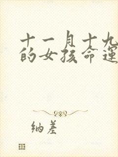 十一月十九出生的女孩命运好不好封面