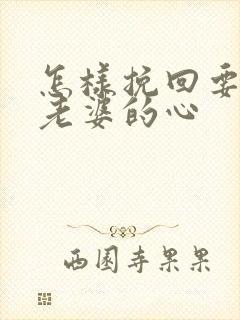 怎样挽回要离婚老婆的心封面