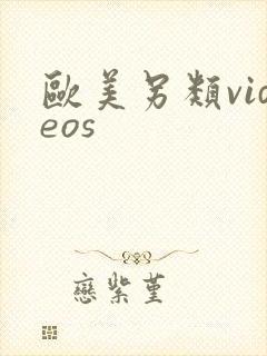 欧美另类videos封面