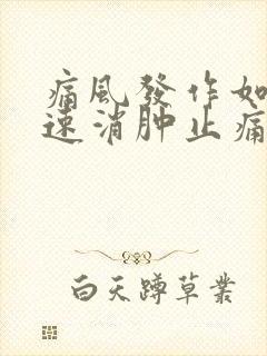 痛风发作如何快速消肿止痛