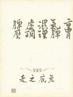 脾虚湿气重吃什么调理脾胃