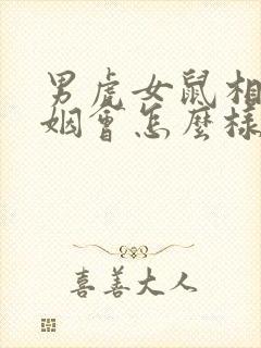 男虎女鼠相配婚姻会怎么样