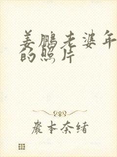 姜鹏老婆年轻时的照片