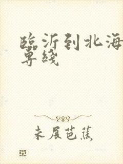 临沂到北海物流专线