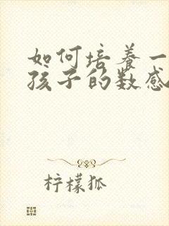 如何培养一年级孩子的数感