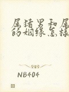 属猪男和属龙女的姻缘怎样封面