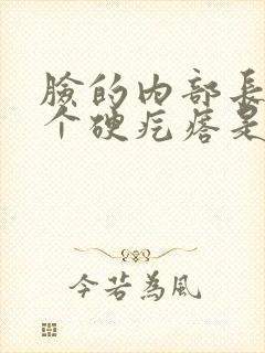 脸的内部长了一个硬疙瘩是怎么回事