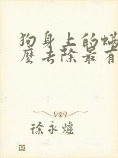 狗身上的螨虫怎么去除最有效方法