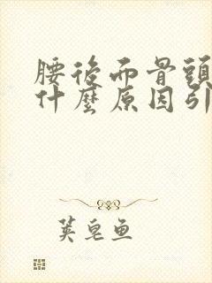 腰后面骨头疼是什么原因引起的封面