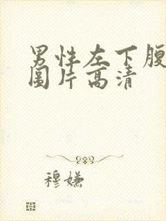 男性左下腹鼓包图片高清