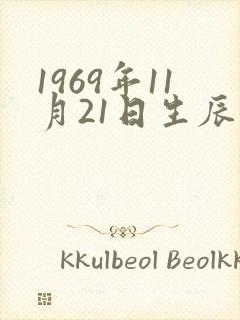 1969年11月21日生辰八字