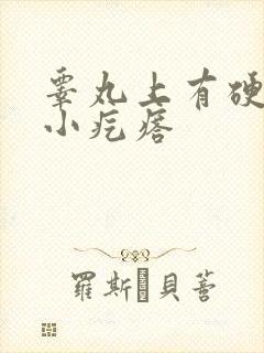 睾丸上有硬硬的小疙瘩封面