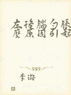 左后脑勺胀痛什么原因引起的