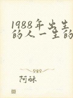 1988年出生的人一生的命运封面