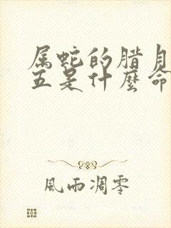 属蛇的腊月二十五是什么命