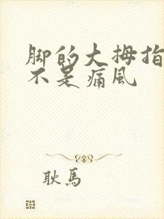 脚的大拇指痛是不是痛风