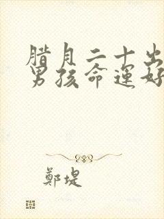 腊月二十出生的男孩命运好吗