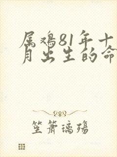 属鸡81年十一月出生的命运如何
