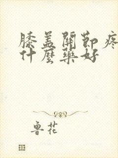 膝盖关节疼痛吃什么药好