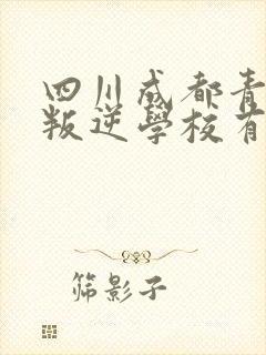 四川成都青少年叛逆学校有哪些