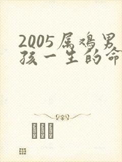 2005属鸡男孩一生的命运