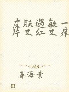 皮肤过敏一挠一片又红又痒怎么办封面