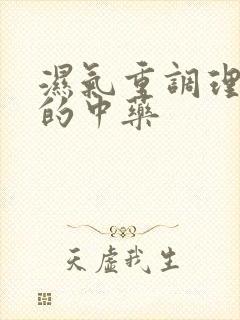 湿气重调理脾胃的中药