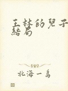 王林的儿子王平结局