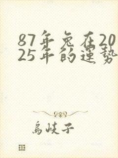 87年兔在2025年的运势封面