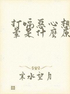 打嗝恶心想吐头晕是什么原因引起的