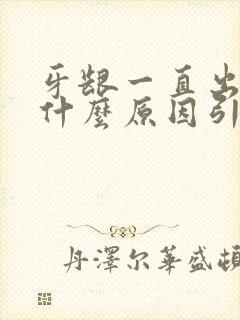 牙龈一直出血是什么原因引起的